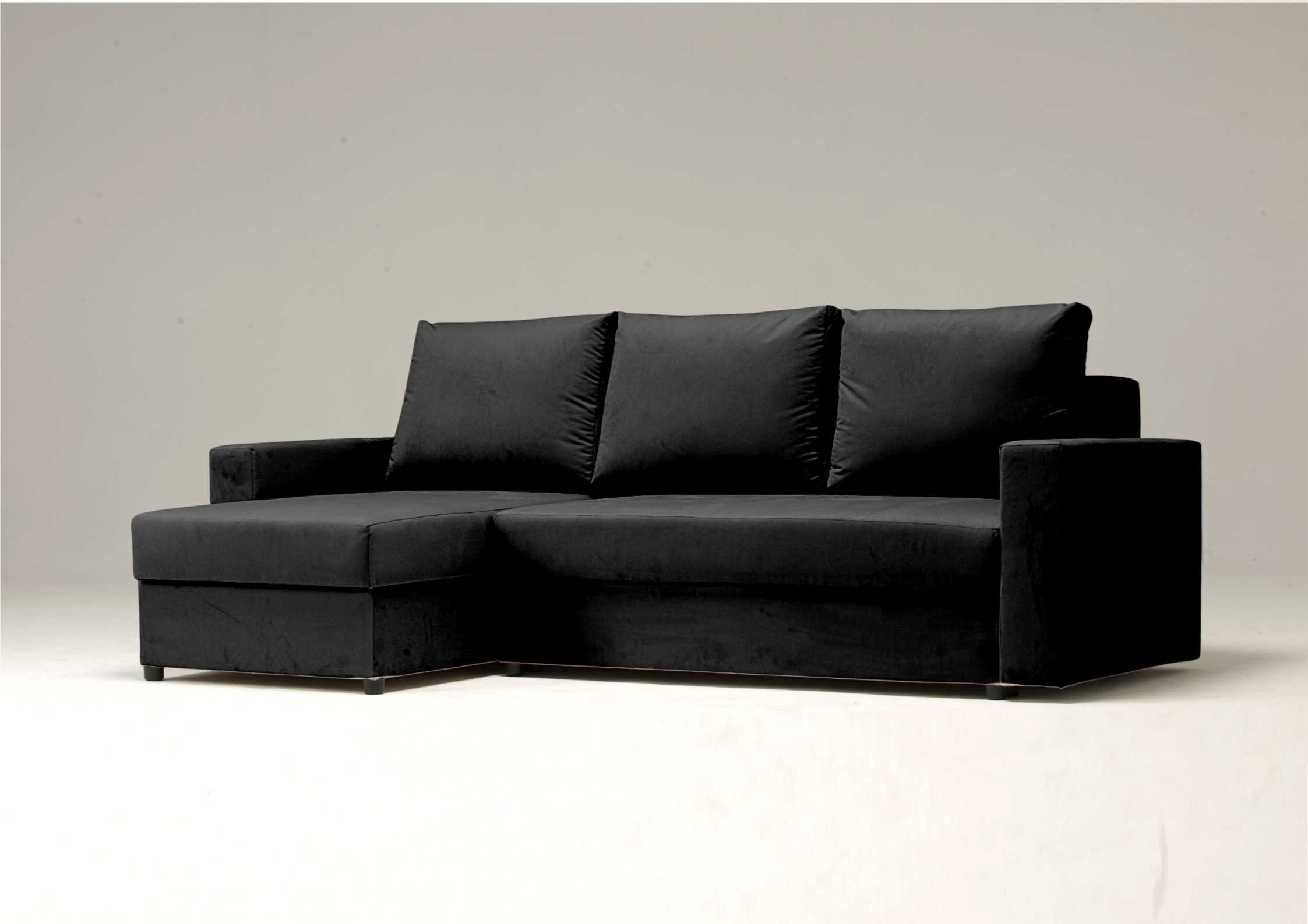 Zwykła czarna rogówka